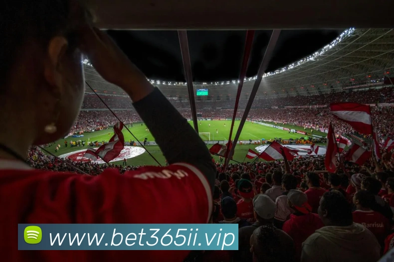 bet365中国官网APP 封面图
